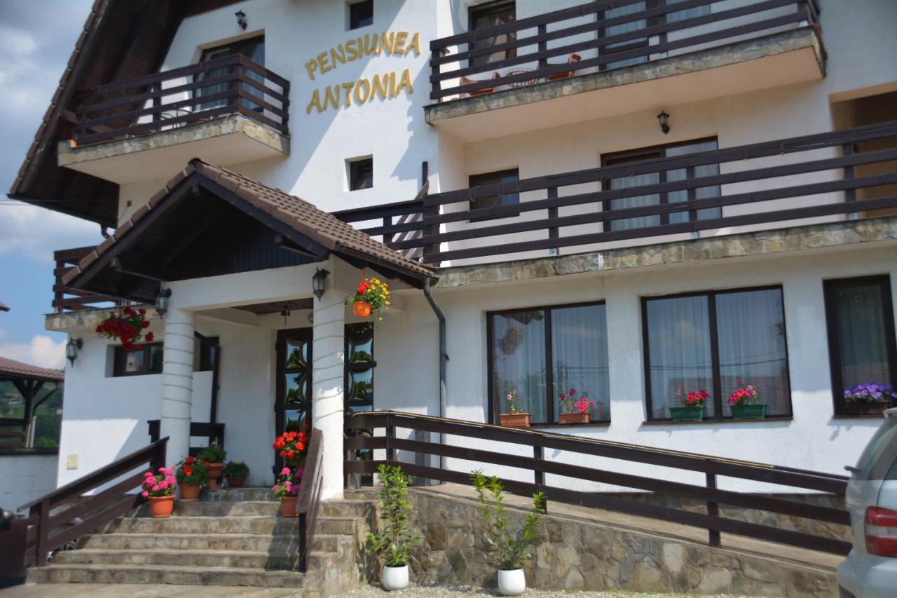 Pensiunea Antonia Bran  Buitenkant foto
