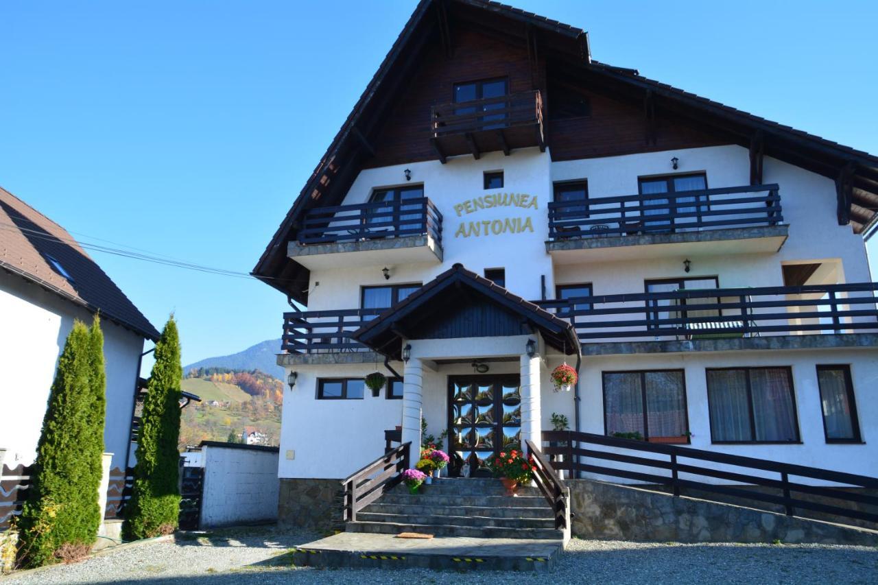 Pensiunea Antonia Bran  Buitenkant foto