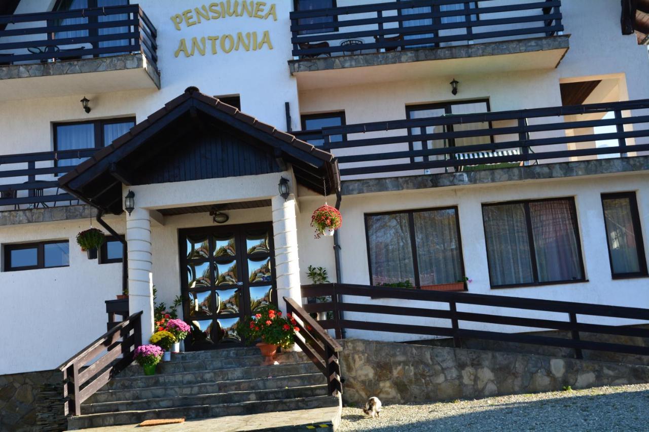 Pensiunea Antonia Bran  Buitenkant foto