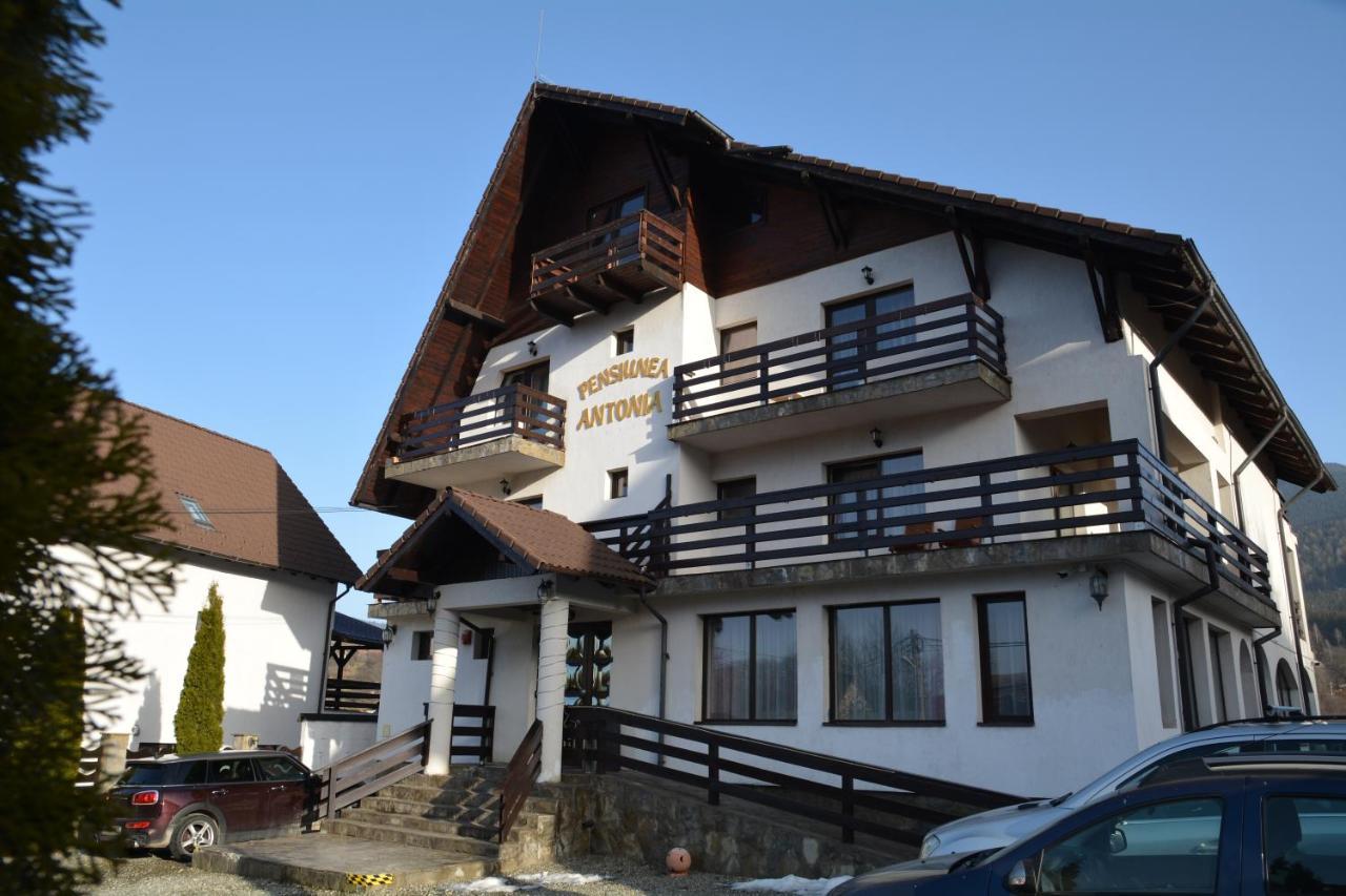 Pensiunea Antonia Bran  Buitenkant foto