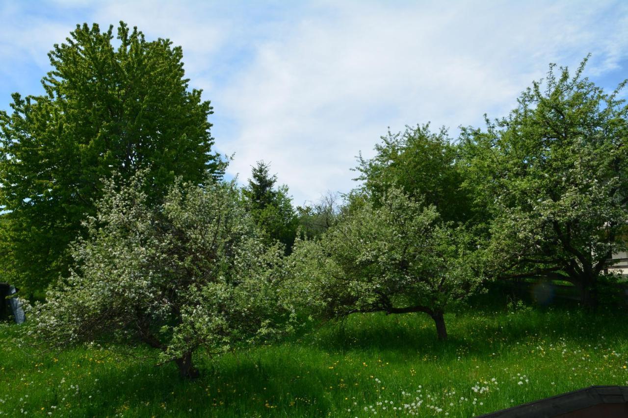 Pensiunea Antonia Bran  Buitenkant foto